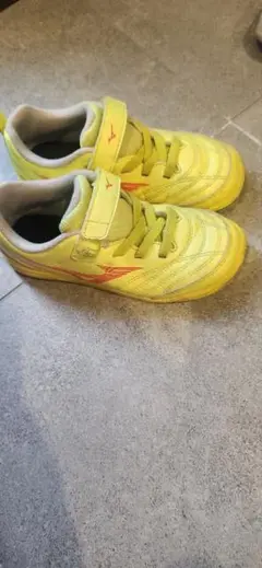 Item thumbnail for item cfb9f9e5-38ec-41e6-8686-d19eaf772923