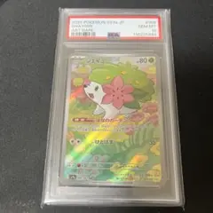 シェイミar psa10
