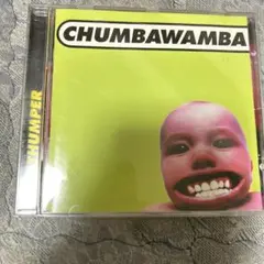 CHUMBAWAMBA TUBTHUMPER