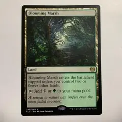MTG 花盛りの湿地/Blooming Marsh EN 英語　1 枚