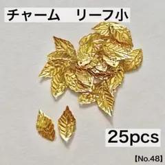 チャーム　リーフ