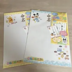 Disney 命名用紙 A4サイズ 計3枚入り ミッキー プーさん