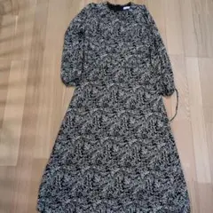 Item thumbnail for item e1612629-127c-41fc-9067-de5db34a9bec