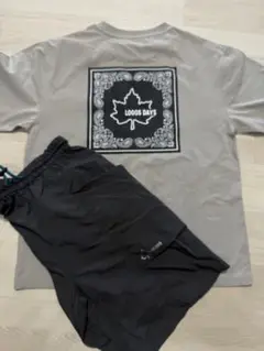 LOGOSDAYS 160 セットアップ