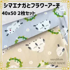 ハンドメイド　給食ランチョン　ランチマット　シマエナガ40×50
