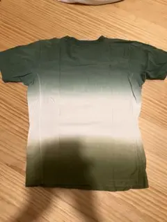 Champion Reverse Weave Tシャツ グラデーション M