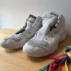 Item thumbnail for item ee206c20-73be-4db9-88c0-8f0224761797