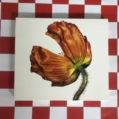 Item thumbnail for item 219a2a69-7cff-4384-af98-9f54bc512587