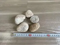 姫川薬石　糸魚川産　約799g