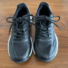 Item thumbnail for item 2d0bf554-c99f-4c93-8b3a-781f39caed3a