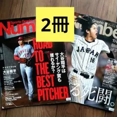 Item thumbnail for item 100b801e-28f9-46c3-ad84-a91ce8375aac