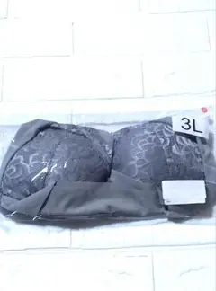 未開封 ナイトブラ 育乳 レース切替 ノンワイヤー レース レディース 3L