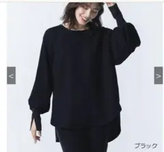 未使用に近い　BLUE FRONCE ブルーフロンセ とろみボリューム袖シアー
