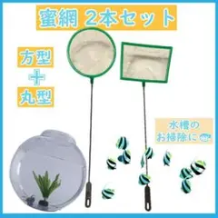 蜜網2本セット 水槽掃除 魚すくい 網 ミジンコ 水槽 魚 グッピー丸 四角