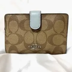 Item thumbnail for item c8ba3333-0162-497d-93e9-c9ef8841fa50