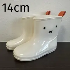 Item thumbnail for item 7880582e-87a9-40dd-9bbd-b7c505d75ea2