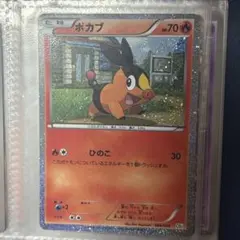 ポカブ ポケモンカード ひのこ