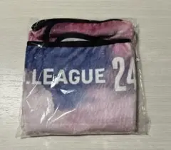 dリーグ　ブランケット　24-25シーズン　スタンプラリー7回目達成景品　②