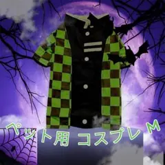 Item thumbnail for item e4c7f5cd-ffaf-4d2e-a8de-afd77085be8b