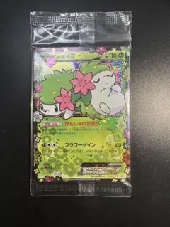 2025年最新】シェイミ プロモ psa10の人気アイテム - メルカリ