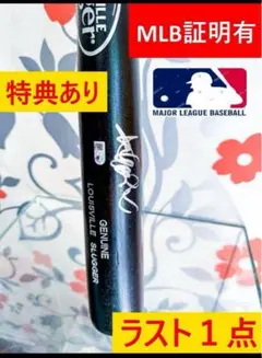 Item thumbnail for item 0c6f1b27-95bd-421a-932c-faab5cd6281b