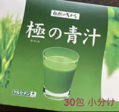 【サントリー】極の青汁 小分け30包入り