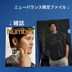 Item thumbnail for item 33905d20-17ed-4c02-a346-064bc94613e1