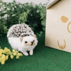 【未使用】ハリネズミ　hedgehog　羊毛　フェルト　作成キット　ぬいぐるみ