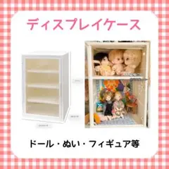 コレクションケース ドール フィギュア シューズ