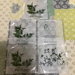未使用 コースター toumei 押花 トウメイ