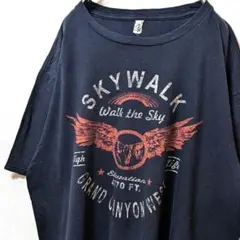 アンビル スカイウォークグランドキャニオンウエスト Tシャツ ブラック黒古着