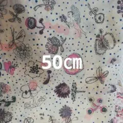 メモリーズオブレレイン　リバティ　タナローン　50㎝
