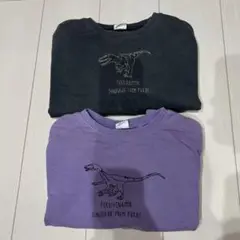 ブリーズ　恐竜　長袖トレーナー　セット売り
