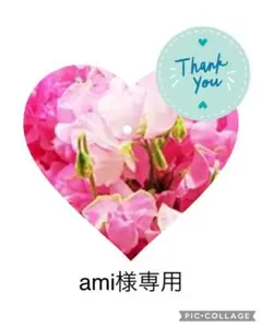 ami様専用
