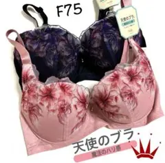 F75 トリンプ 天使のブラ 魔法のハリ感 マグノリア ブラ単品 ２点
