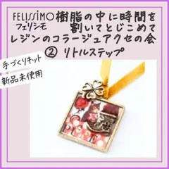【フェリシモ】② リトルステップ レジンのコラージュアクセの会