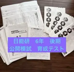 日能研　2024年度最新6年生　テスト　後期　育成テスト　公開模試