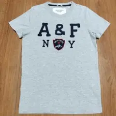 アバクロンビー＆フィッチ Abercrombie ＆ FitchＴシャツグレーＳ