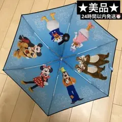 レア美品★ディズニーリゾート折りたたみ傘 晴雨兼用　実写傘カバーなし