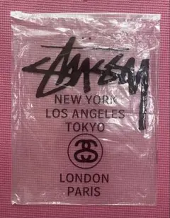 Stussy ロゴ 情報服　５枚１セット