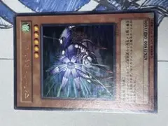 遊戯王　マジックキャンセラー　1枚