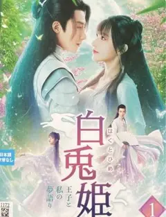 中国ドラマ『白兎姫・王子と私の夢物語』レンタルDVD