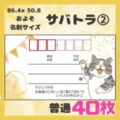【サバトラ②】宛名シール　差出人シール　普通サイズ　40枚　シンプル　動物　ネコ
