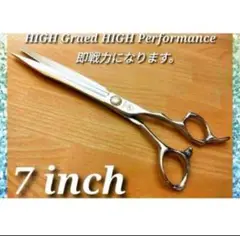 Item thumbnail for item 076260fe-fb78-463f-88f5-6cfa724f6e13