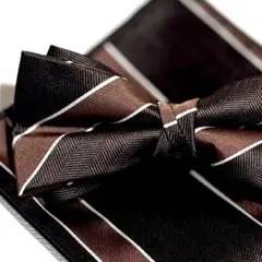 Item thumbnail for item 820a1326-1566-4e66-814a-f4df53ed8d50