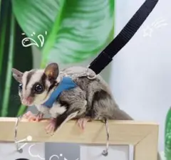 Item thumbnail for item f2ecc733-bc3b-4607-8174-55408c7bcaa2