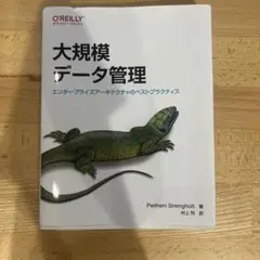 大規模データ管理