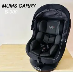 Item thumbnail for item 92290311-6301-40e8-9d50-42f4c3b71400