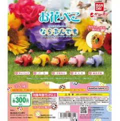お花べこ ならぶんです 5種類 コンプリートセット