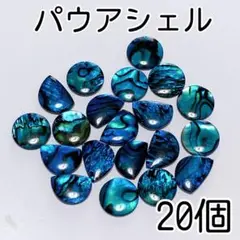 《人気》天然シェル　パウアシェル　アバロンシェル アソートセット